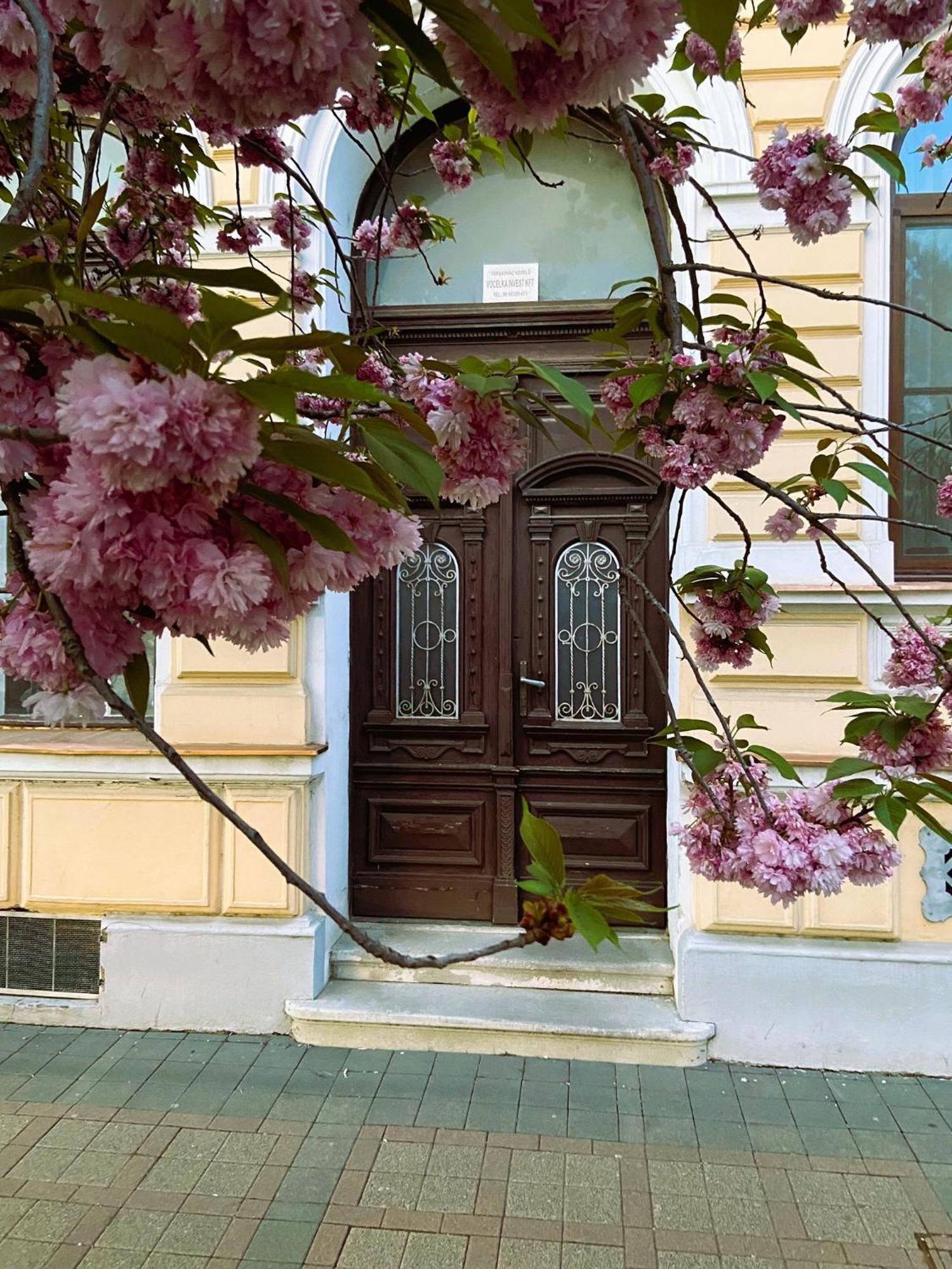 Silentium City Apartman Sárvár Dış mekan fotoğraf